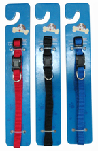Leash & Collar Lcq0017